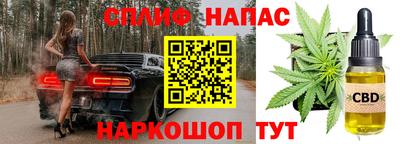 индика Чебаркуль