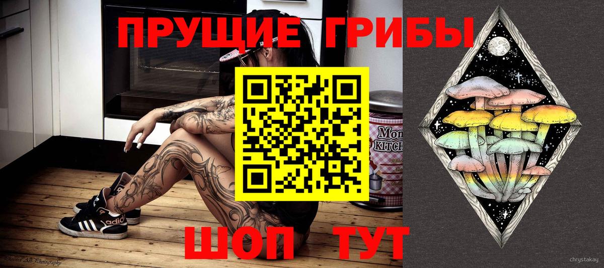 Псилоцибиновые грибы прущие грибы  Вход с VPN  Сунжа 